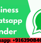 SDI Bulk WhatsApp Sender-WhatsApp Marketing Software